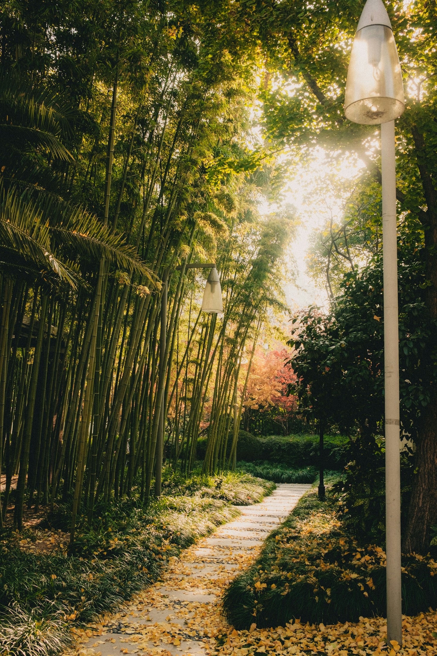 How We Turned a Room Into a Paradise